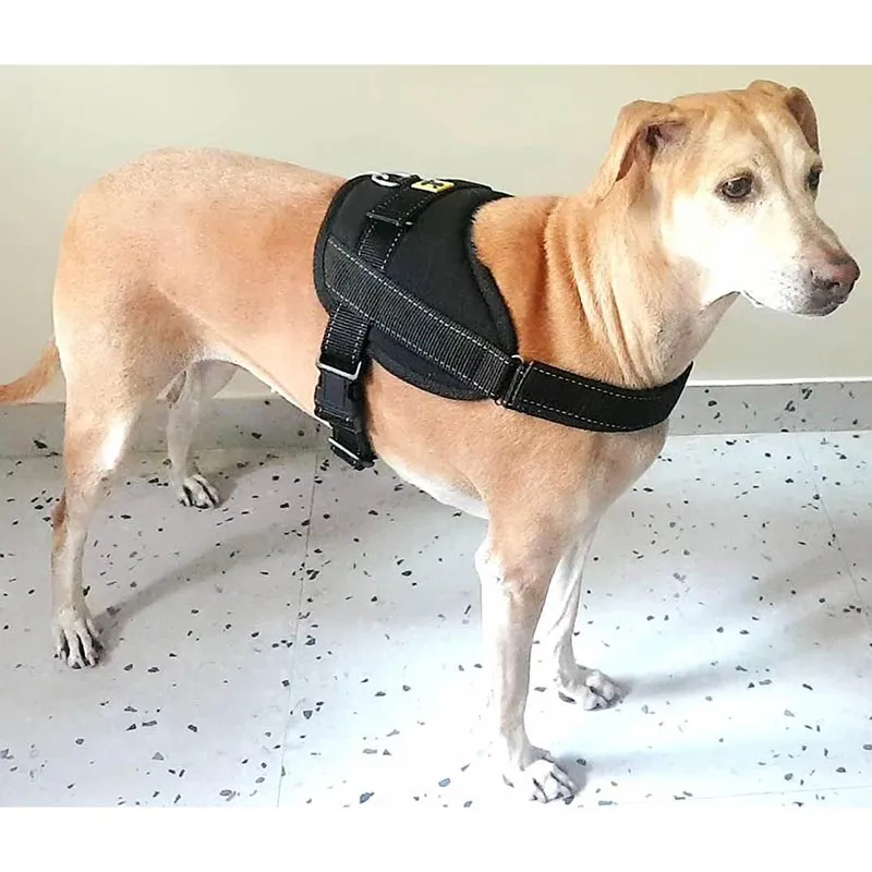 A a Pets' No Pull Escape Proof Reflective Vest Harness for Dogs