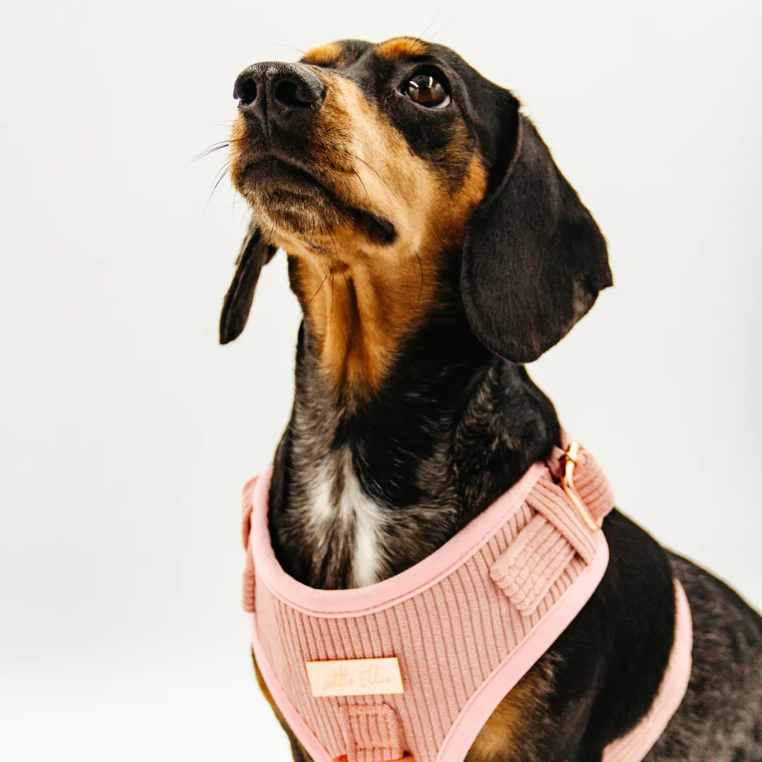 Adjustable Dog Harness LUXE| Blush Pink Corduroy