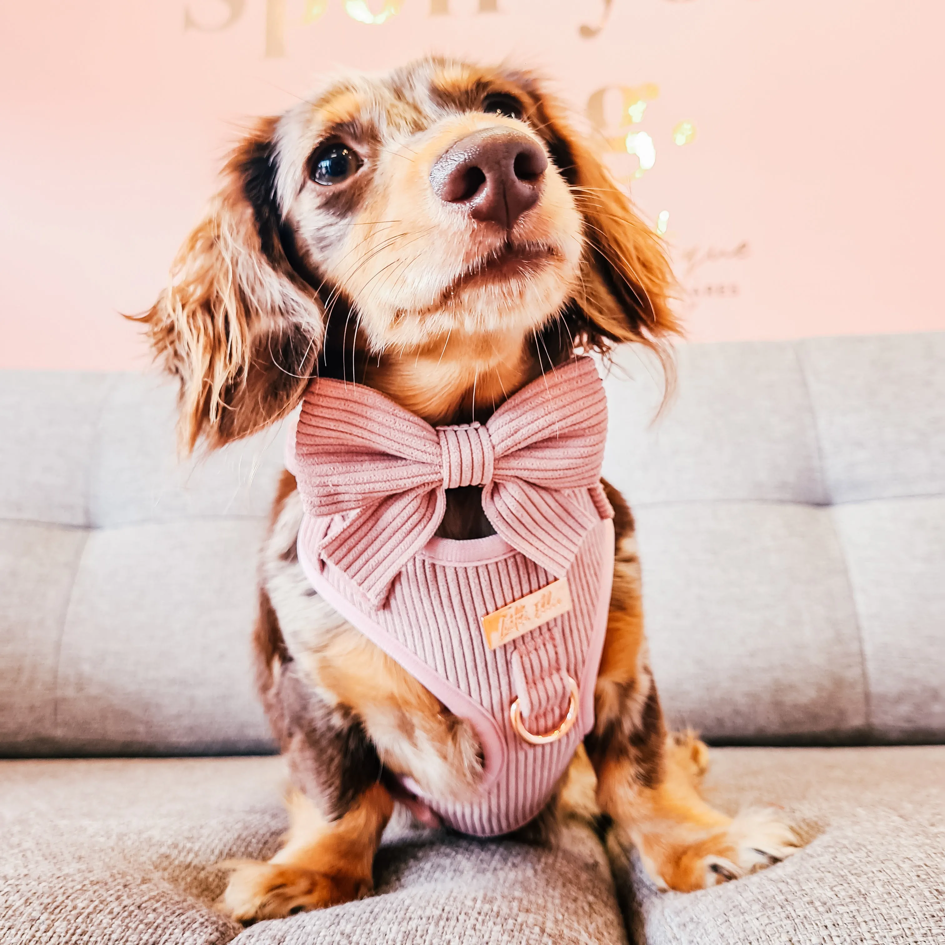 Adjustable Dog Harness LUXE| Blush Pink Corduroy