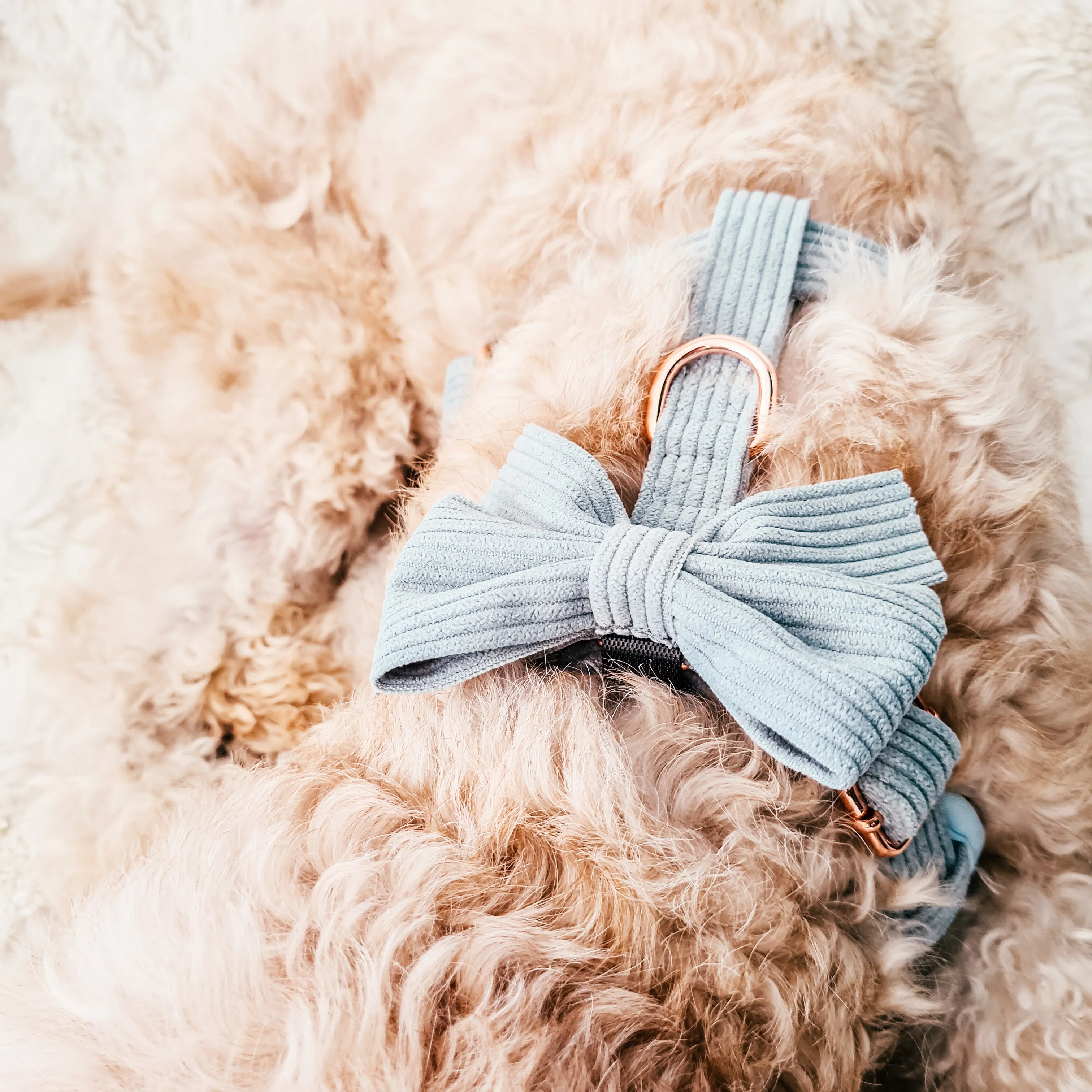 Adjustable Dog Harness LUXE| Sage Corduroy