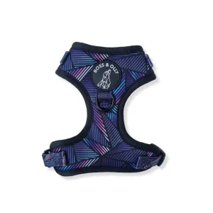 Adjustable Harness