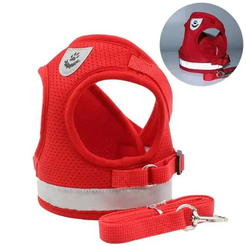 Adjustable Small Dog Harness and Leash Set - Breathable Mesh, Escape-Proof, Comfortable Fit