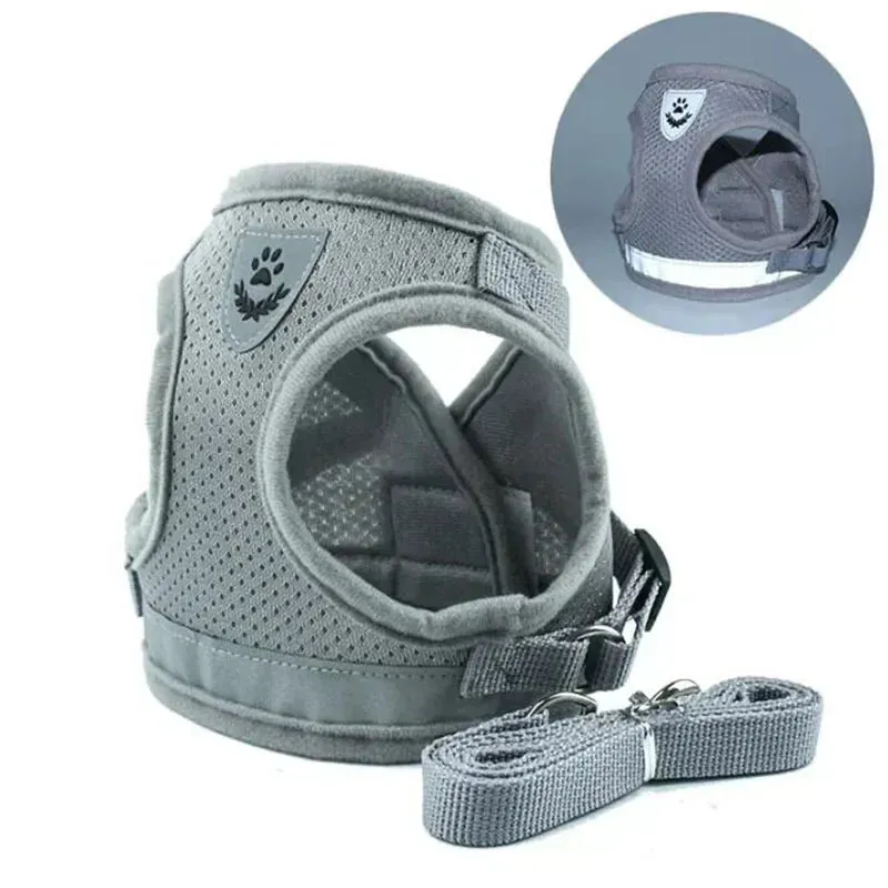 Adjustable Small Dog Harness and Leash Set - Breathable Mesh, Escape-Proof, Comfortable Fit