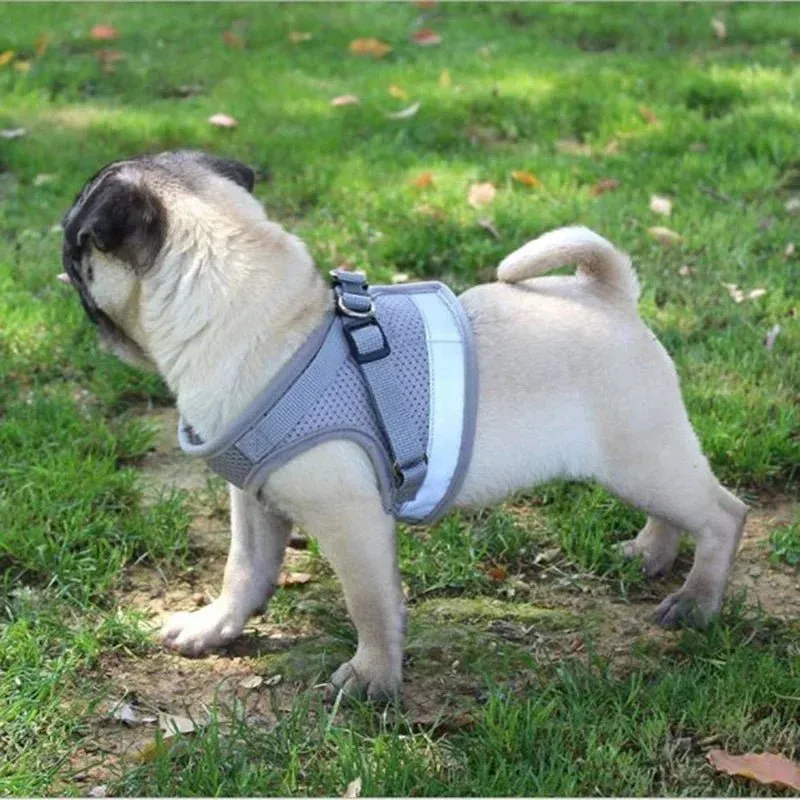 Adjustable Small Dog Harness and Leash Set - Breathable Mesh, Escape-Proof, Comfortable Fit