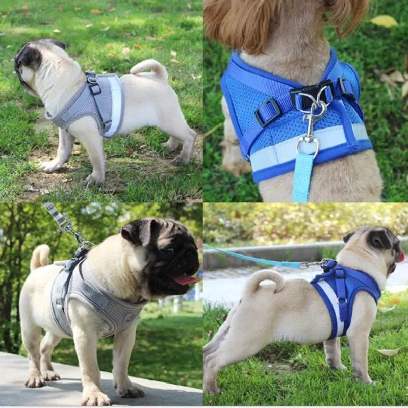 Adjustable Small Dog Harness and Leash Set - Breathable Mesh, Escape-Proof, Comfortable Fit