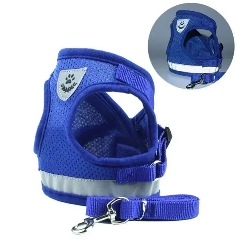 Adjustable Small Dog Harness and Leash Set - Breathable Mesh, Escape-Proof, Comfortable Fit