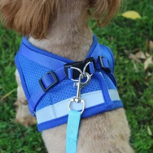 Adjustable Small Dog Harness and Leash Set - Breathable Mesh, Escape-Proof, Comfortable Fit