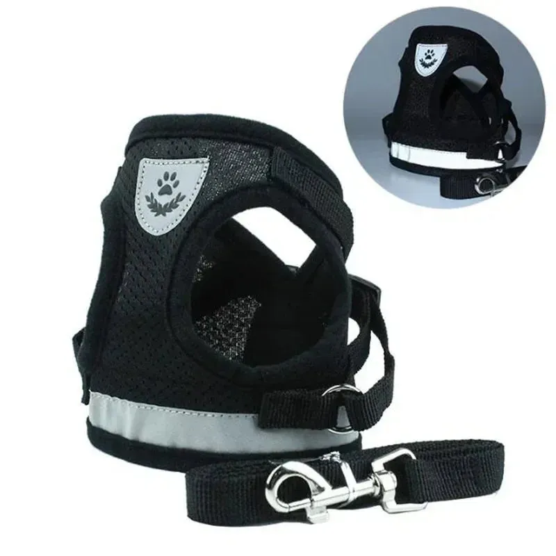 Adjustable Small Dog Harness and Leash Set - Breathable Mesh, Escape-Proof, Comfortable Fit