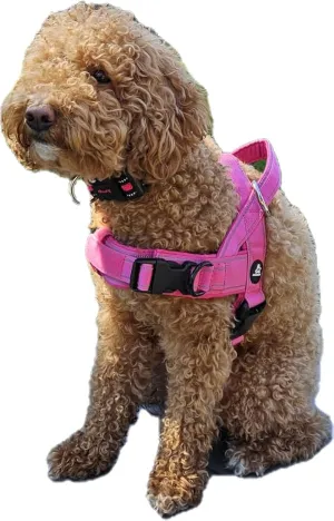 AndroPets No Pull Dog Harness with 3 Leash Clips, Reflective, Escape-Proof - Perfect for Leash and Harness Training - Adjustable Sizes for Small, Medium, and Large Dogs - Dog Vest (Rose Pink, Small)