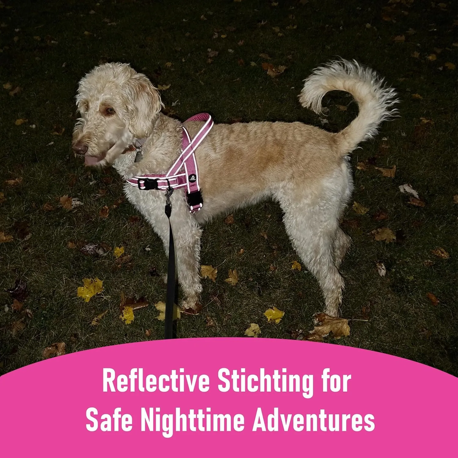 AndroPets No Pull Dog Harness with 3 Leash Clips, Reflective, Escape-Proof - Perfect for Leash and Harness Training - Adjustable Sizes for Small, Medium, and Large Dogs - Dog Vest (Rose Pink, Small)