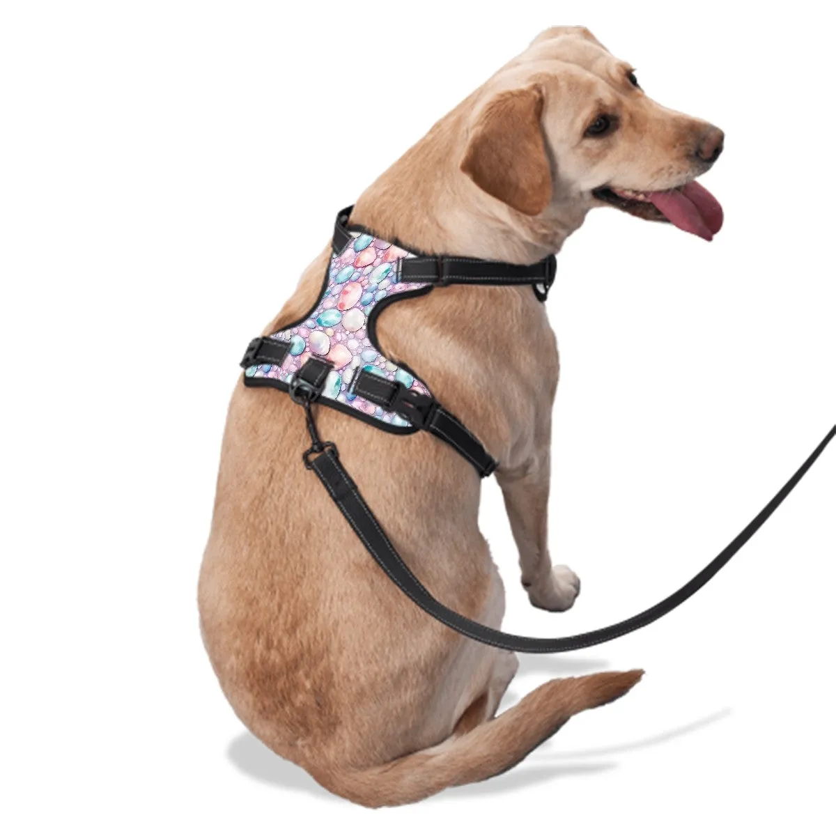 Baby Dragon, Oxford Fabric Dog Harness