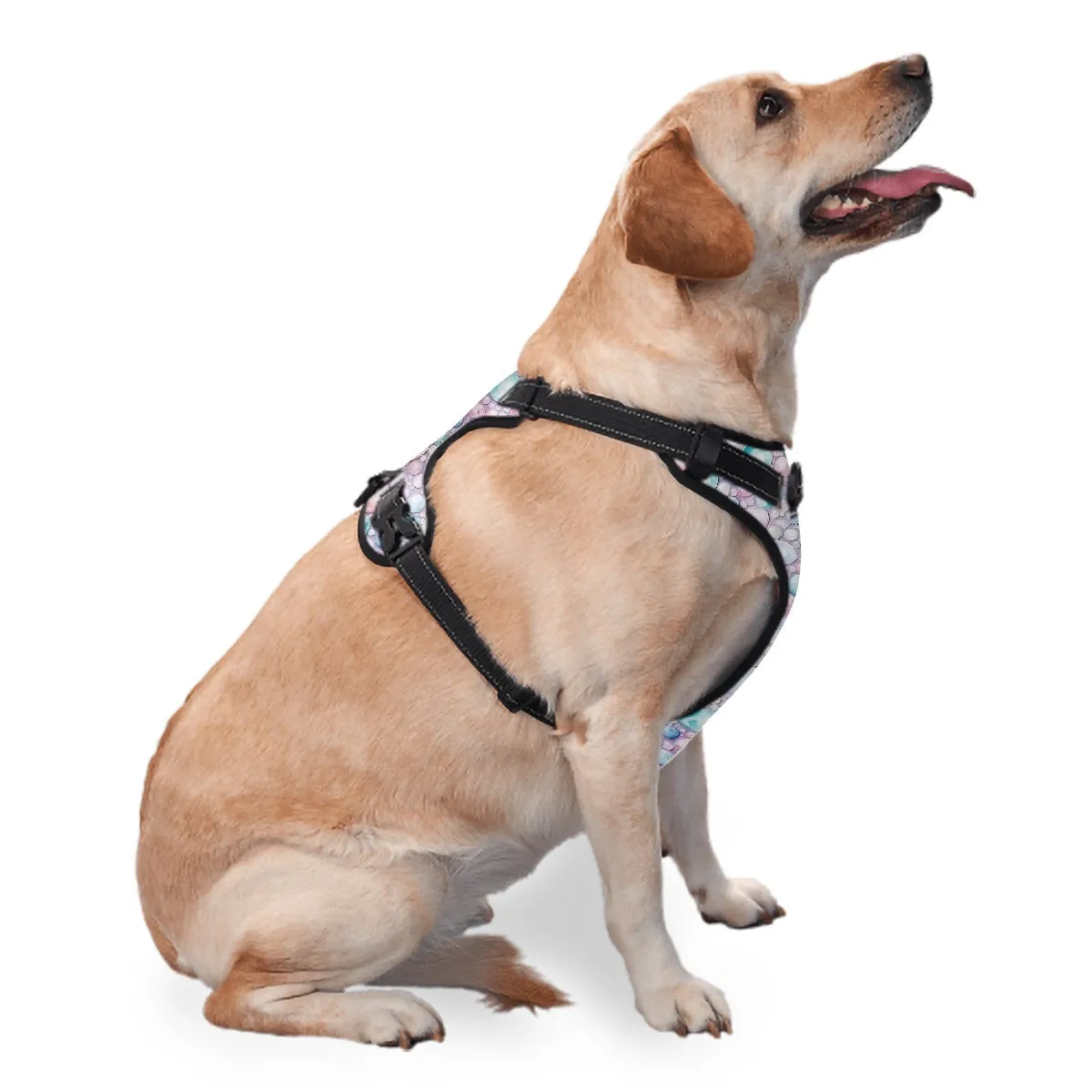 Baby Dragon, Oxford Fabric Dog Harness