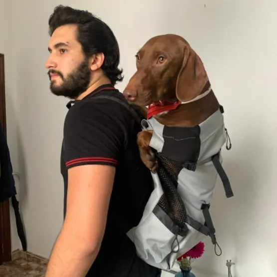 Backpack Carrier for Dachshunds