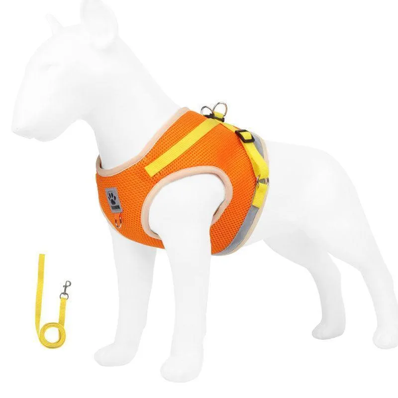 Basic Cat Harness Escape Proof 4 Color Leash Set Cat Lead