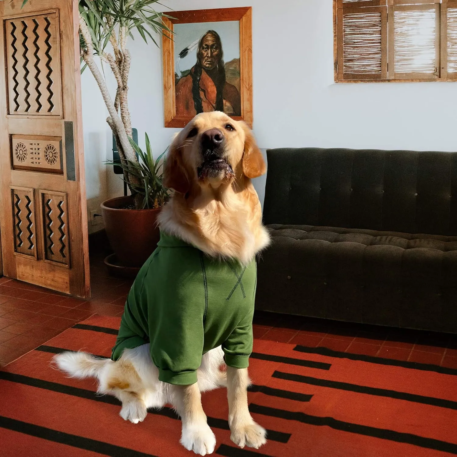 Basic Dog Hoodie, Premium Dog Sweater Pullover, Soft & Comfy Cotton Pet Clothes Hoodies with Hat and Leash Hole - Army Green (Medium)