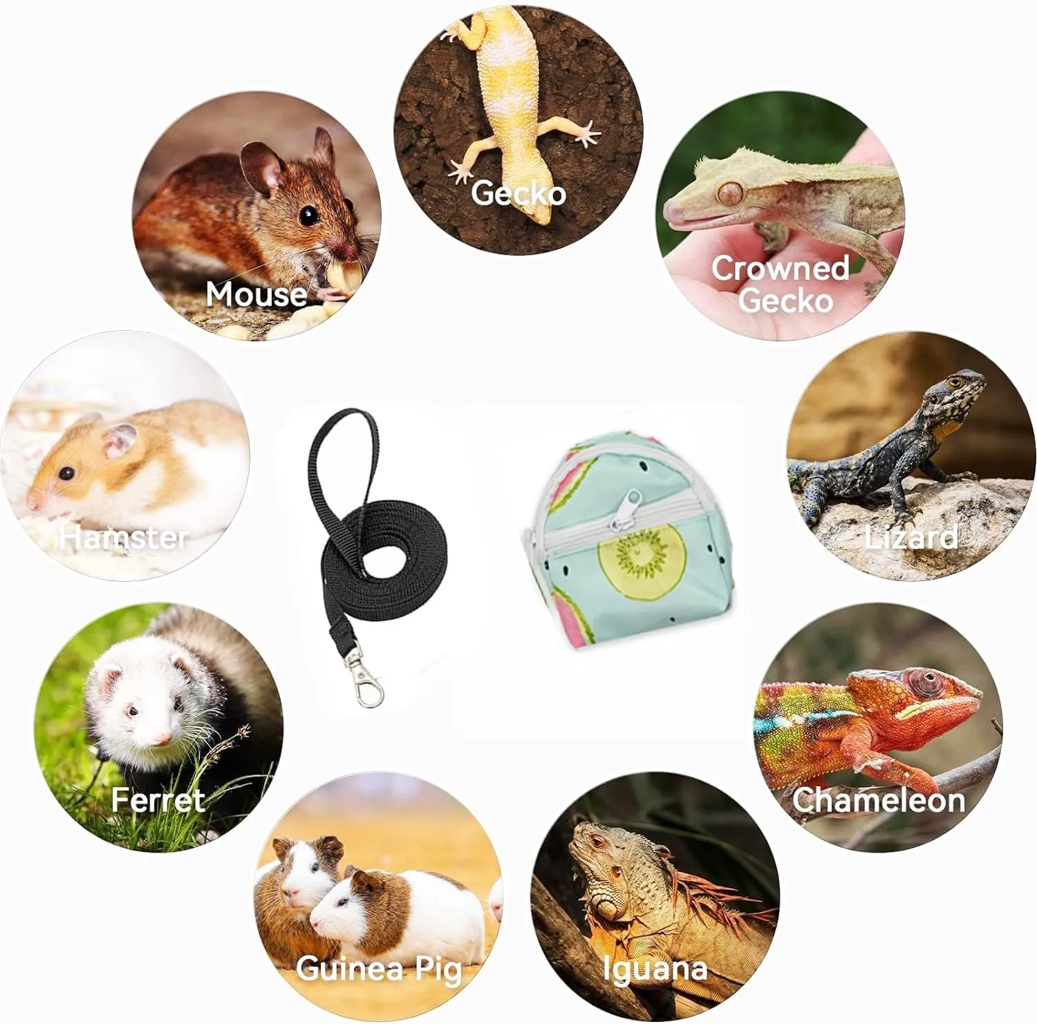 Bearded Dragon Backpack Carrier,Reptile Portable Backpack Carrier with Small Backpack Harness Leash Set,Space Capsule Clear Bubble Window Travel Backpack for Lizard Travel,Guinea Pig,Rabbit