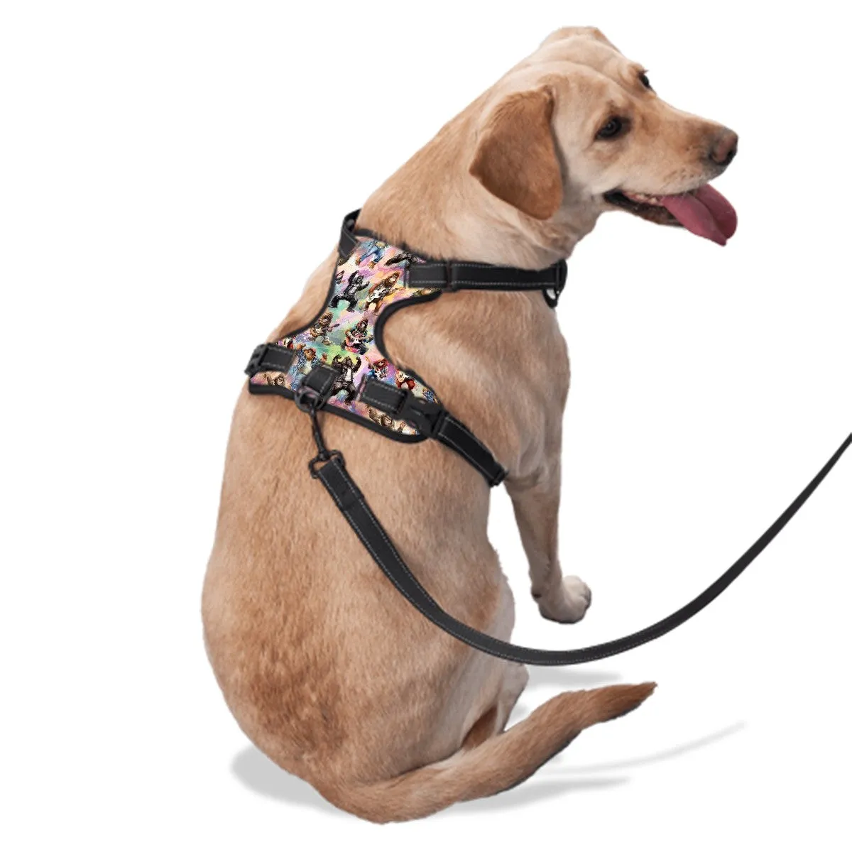 Bigfoot, Sasquatch Themed, Oxford Fabric Dog Harness
