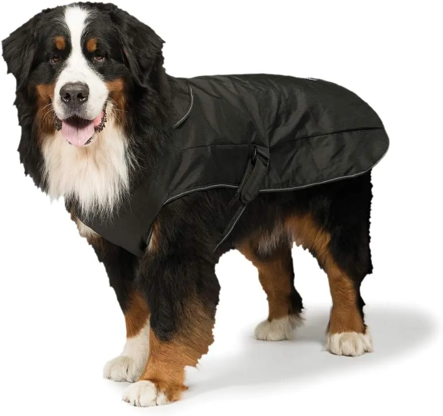 Black Harness 2 in 1 Ultimate Rainproof Windproof Machine Washable Dog/Puppy Coat 12 Inch 30 cm