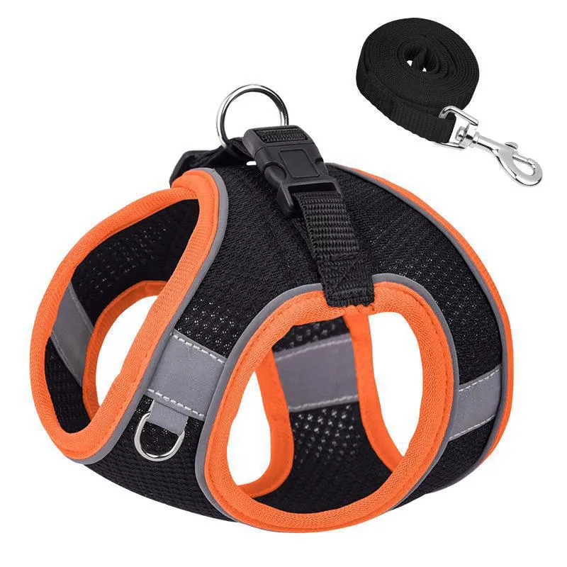Breathable French Bulldog Harness Set