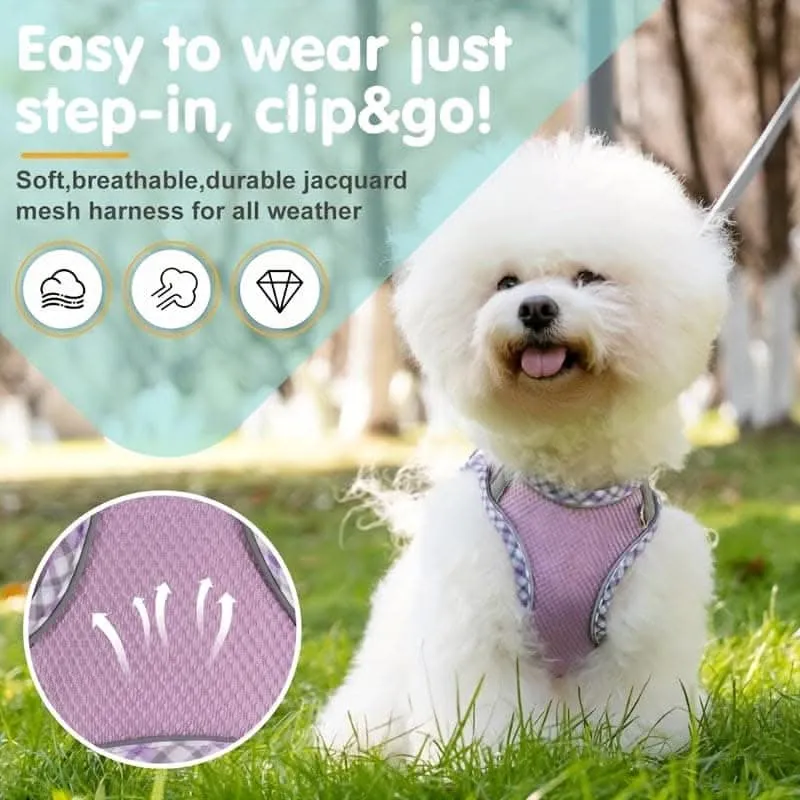 Breathable No-Pull Dog Harness & Leash Set