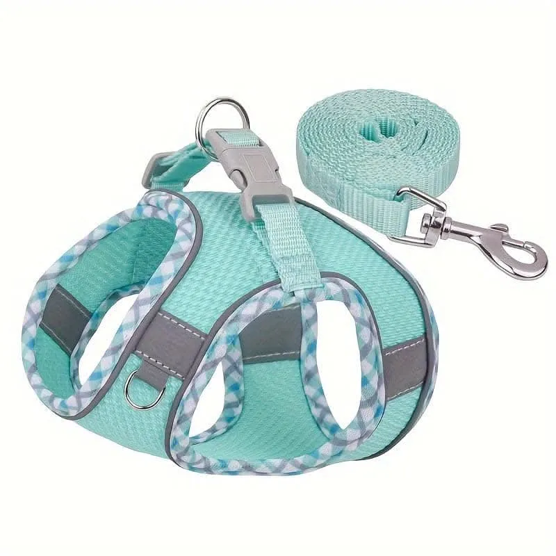 Breathable No-Pull Dog Harness & Leash Set