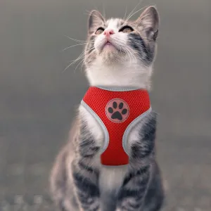 Breathable Paw Print Cat Dog Harness Reflective Vest