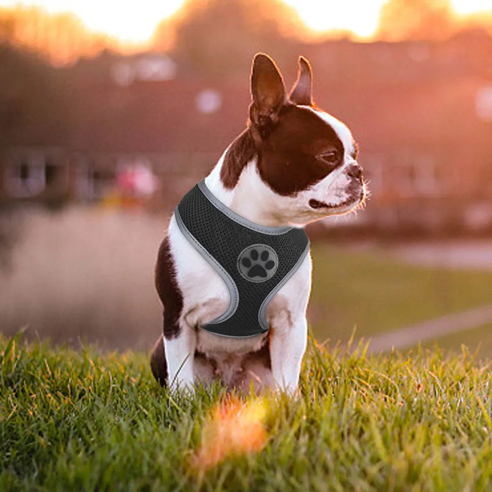 Breathable Paw Print Cat Dog Harness Reflective Vest