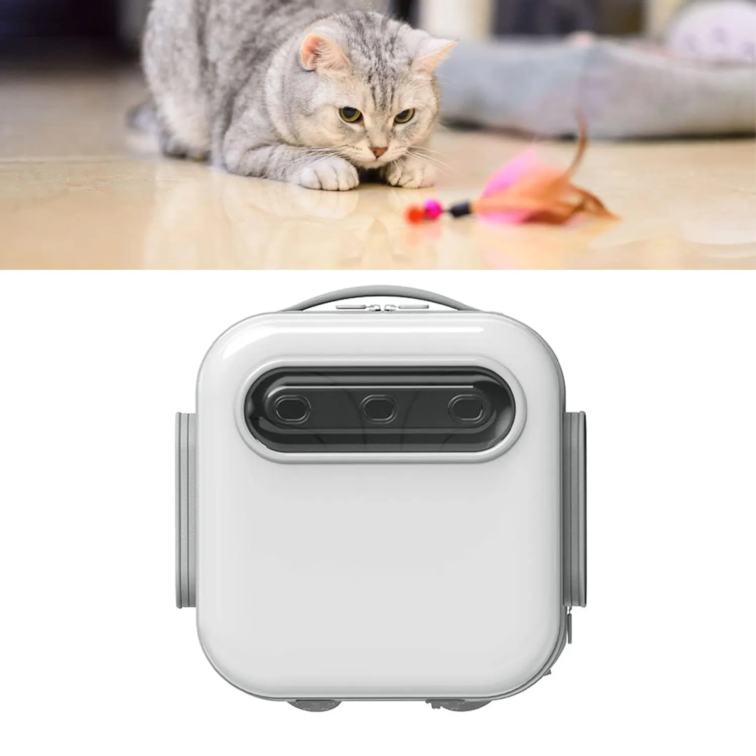 Breathable Pet Backpack, Ventilated Escape Proof Pet Carrier, Ergonomic Lightweight Cat Backpack, Transparent Travel Bag for Small Dogs and Cats (Standard)