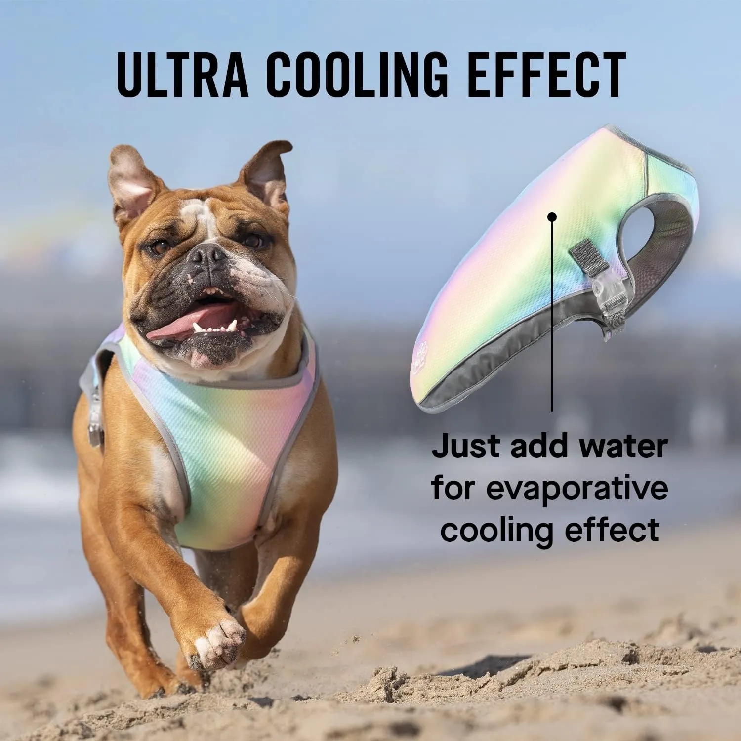 Canada Pooch Dog Cooling Vest - Evaporative Cooling Vest for Dogs with Breathable Mesh Material & Reflective Lining, Adjustable Dog Cooling Vest Great for Dogs 16 (15-17" Back Length), Rainbow
