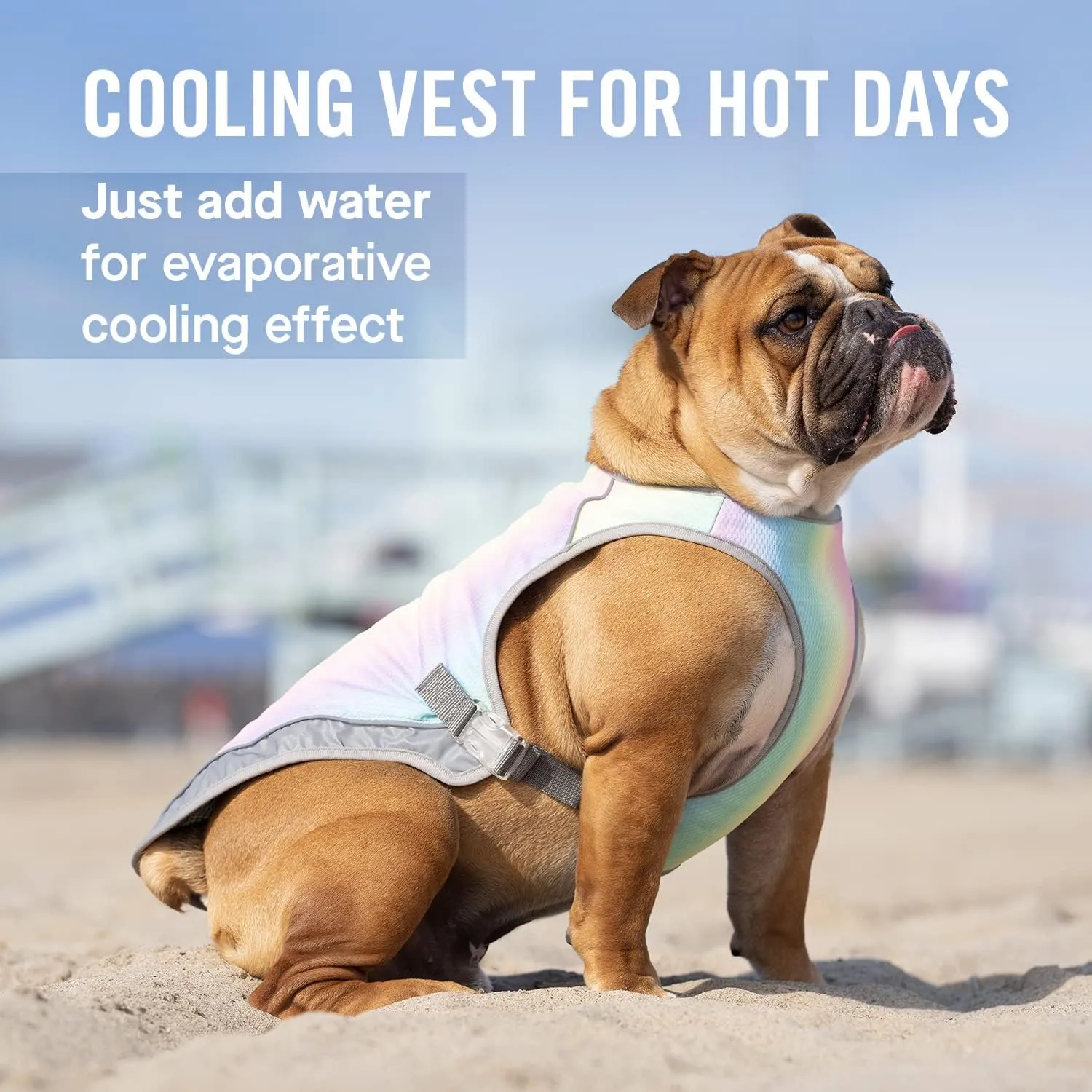 Canada Pooch Dog Cooling Vest - Evaporative Cooling Vest for Dogs with Breathable Mesh Material & Reflective Lining, Adjustable Dog Cooling Vest Great for Dogs 16 (15-17" Back Length), Rainbow