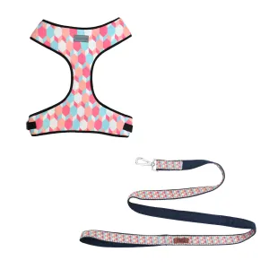 Candy Barr Vest Harness   Leash Set