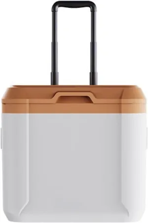 Car Camping Coolers for Citro?n C1/C2/C3/C4/C5/C4 Cactus/C4 Picasso/C5 Aircross, Leak Proof Cooler, Portable Lightweight Ice Chest Box, Compartments Waterproof Insulated Bag
