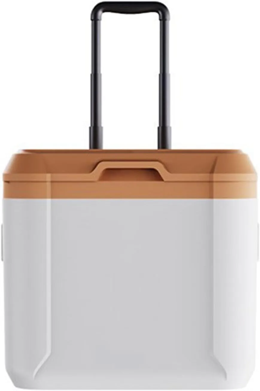 Car Camping Coolers for Citro?n C1/C2/C3/C4/C5/C4 Cactus/C4 Picasso/C5 Aircross, Leak Proof Cooler, Portable Lightweight Ice Chest Box, Compartments Waterproof Insulated Bag