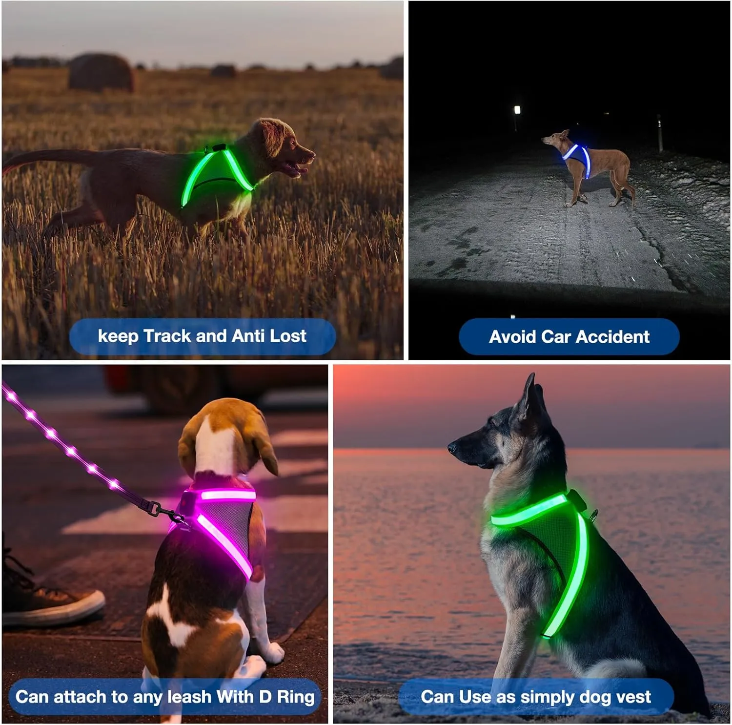 ChalkLit Light Up Dog Harness, No Pull Led Dog Harness Glow-in-The-Dark for Night Walking, USB Rechargeable Lighted Safety Vest for Medium Large Dogs, Adjustable Soft Mesh Fully Illuminated (Blue, XL)