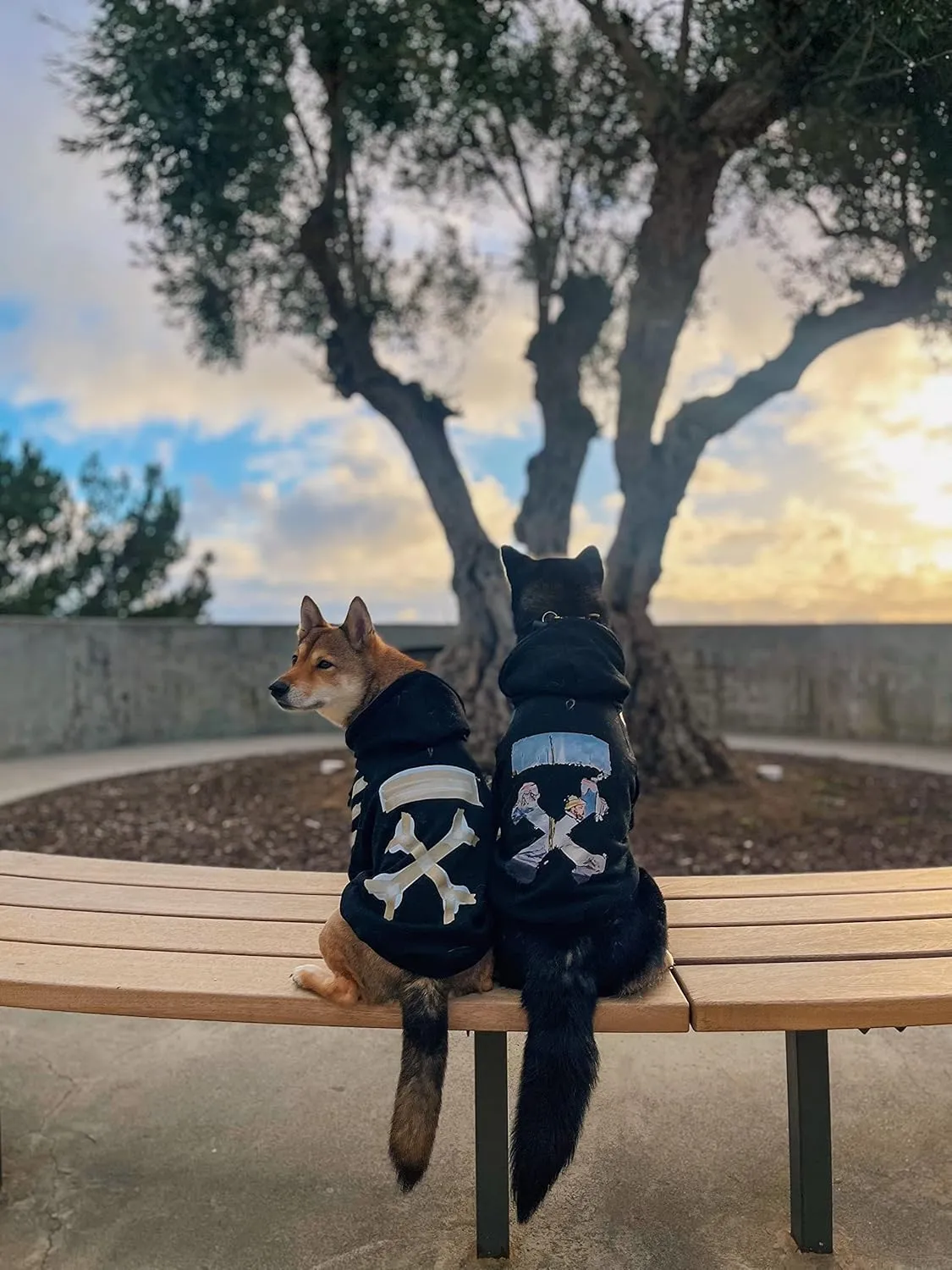 ChoChoCho Woof Dog Hoodie, Designer Dog Hoodies for Small Medium Large Breeds, Art Collection Dog Sweatshirts, Street Drawstring Hoodies Outfit Clothes for Puppy Puppies (S, Monet Painting)