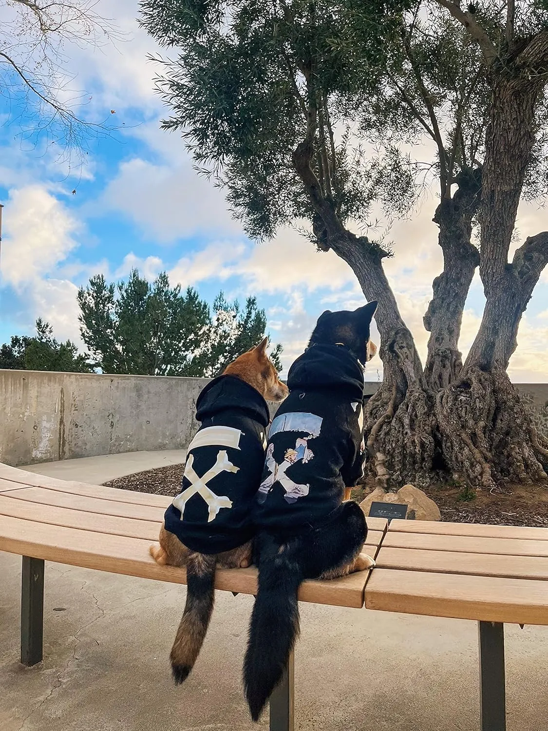 ChoChoCho Woof Dog Hoodie, Designer Dog Hoodies for Small Medium Large Breeds, Art Collection Dog Sweatshirts, Street Drawstring Hoodies Outfit Clothes for Puppy Puppies (S, Monet Painting)
