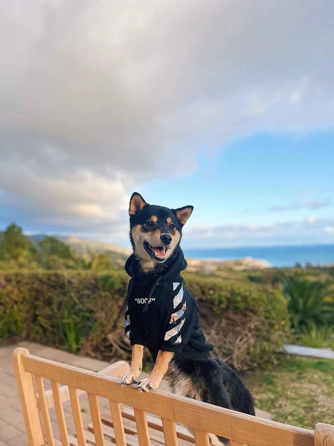 ChoChoCho Woof Dog Hoodie, Designer Dog Hoodies for Small Medium Large Breeds, Art Collection Dog Sweatshirts, Street Drawstring Hoodies Outfit Clothes for Puppy Puppies (S, Monet Painting)