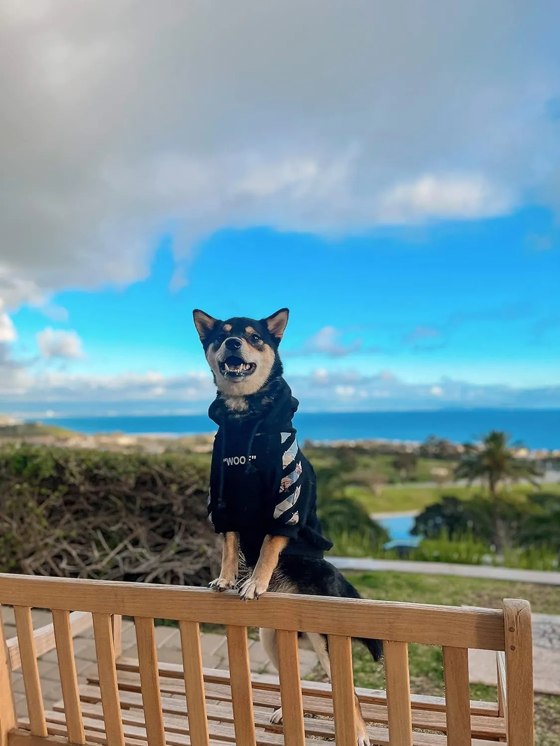 ChoChoCho Woof Dog Hoodie, Designer Dog Hoodies for Small Medium Large Breeds, Art Collection Dog Sweatshirts, Street Drawstring Hoodies Outfit Clothes for Puppy Puppies (S, Monet Painting)