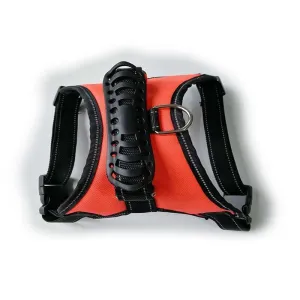Comfortmax Dog Harness: The Ultimate Breathable And Strangle-Free Leash