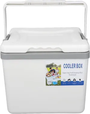 Cooler, Insulated Cooler, Portable Leakproof Cooler with Handle, Coolbox Keeps Cool for Camping, Fishing, Picnic, Outdoor, Beach, Grill, Travel,Tailgating (6L)