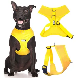 Dexil Elite Vest Harness