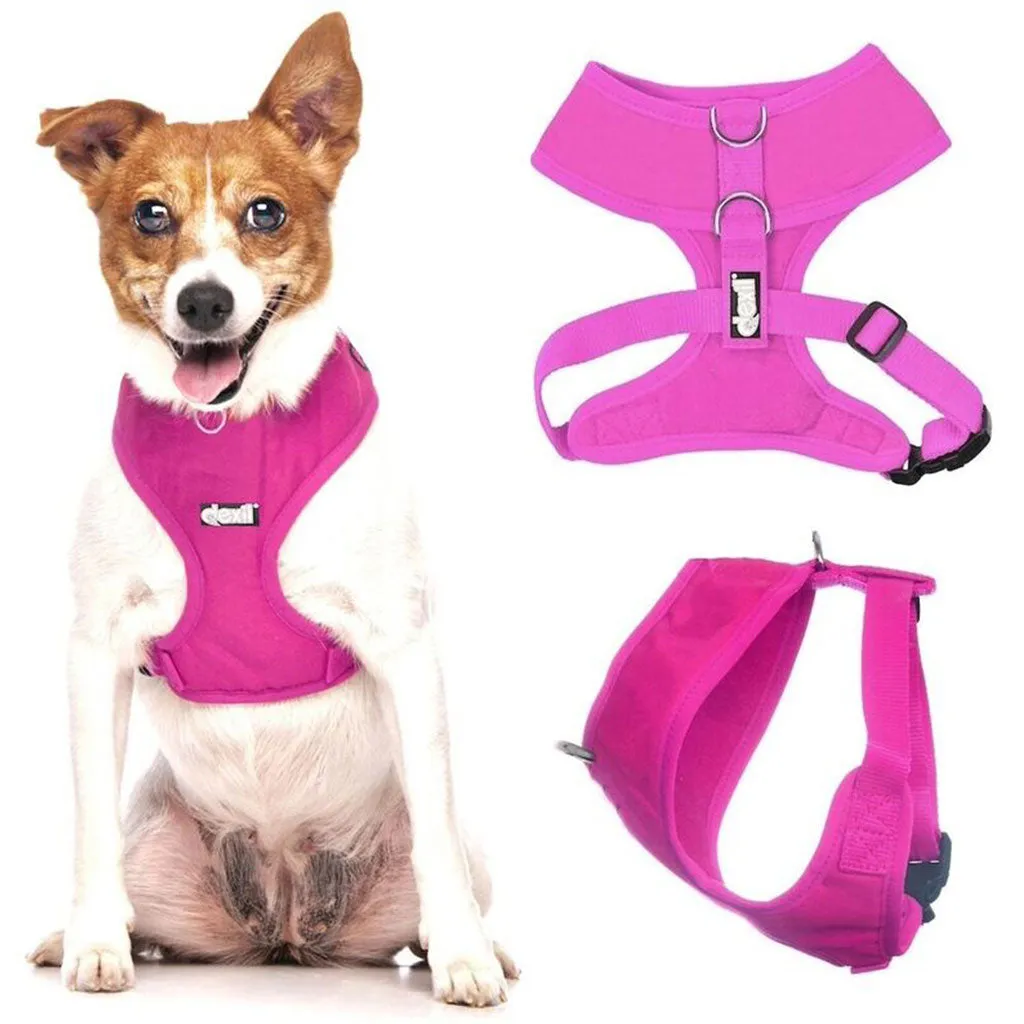 Dexil Elite Vest Harness