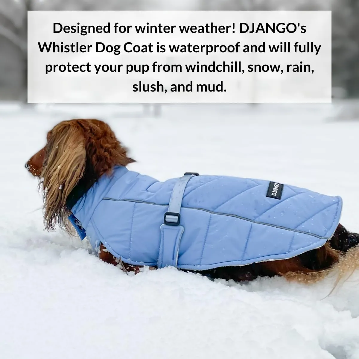 DJANGO Whistler Dusk Blue Winter Dog Coat - Premium Warm & Insulated Medium Dog Coat - Windproof & Waterproof Adjustable, Reflective Dog Winter Jacket with Easy-Access Leash Portal - Machine Washable