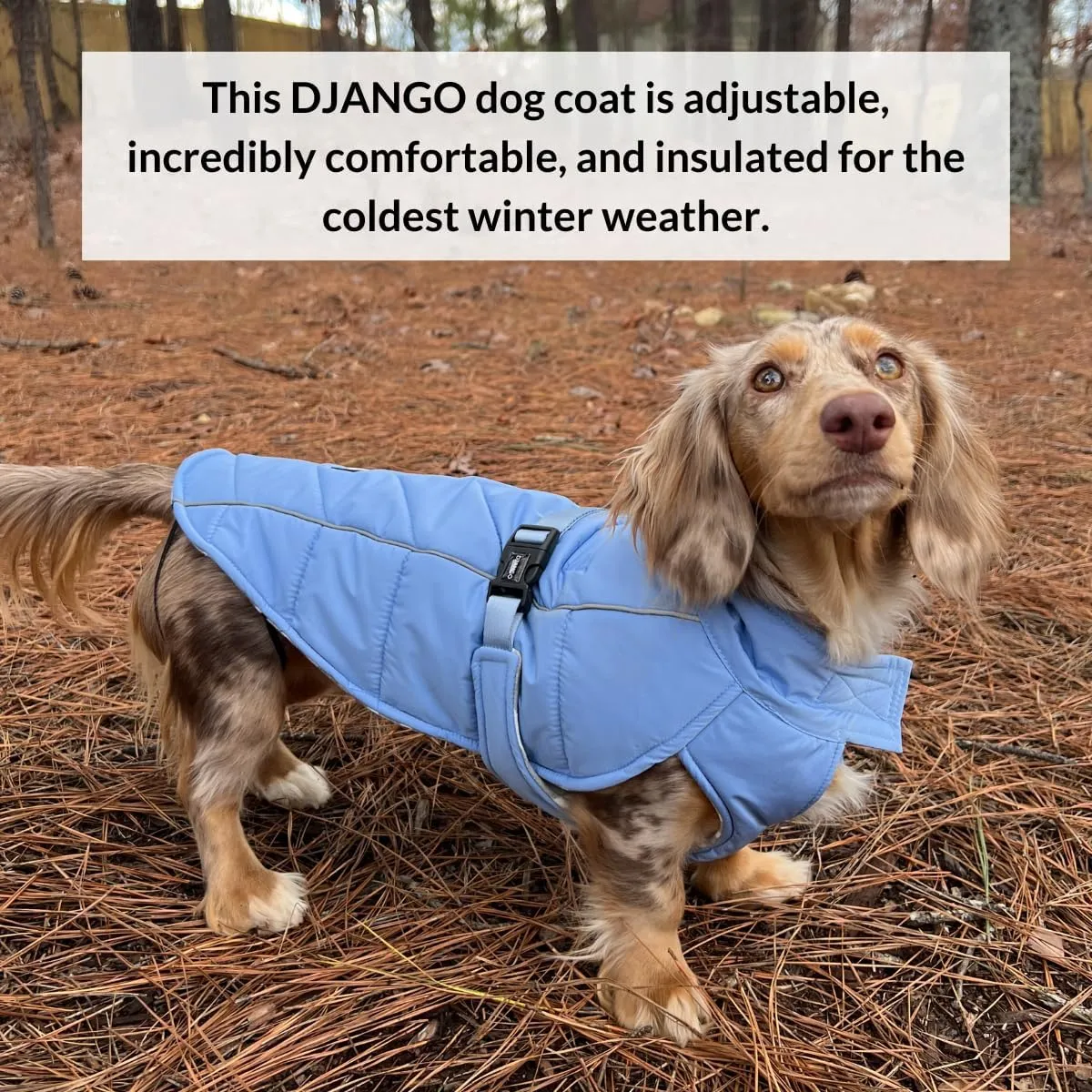 DJANGO Whistler Dusk Blue Winter Dog Coat - Premium Warm & Insulated Medium Dog Coat - Windproof & Waterproof Adjustable, Reflective Dog Winter Jacket with Easy-Access Leash Portal - Machine Washable