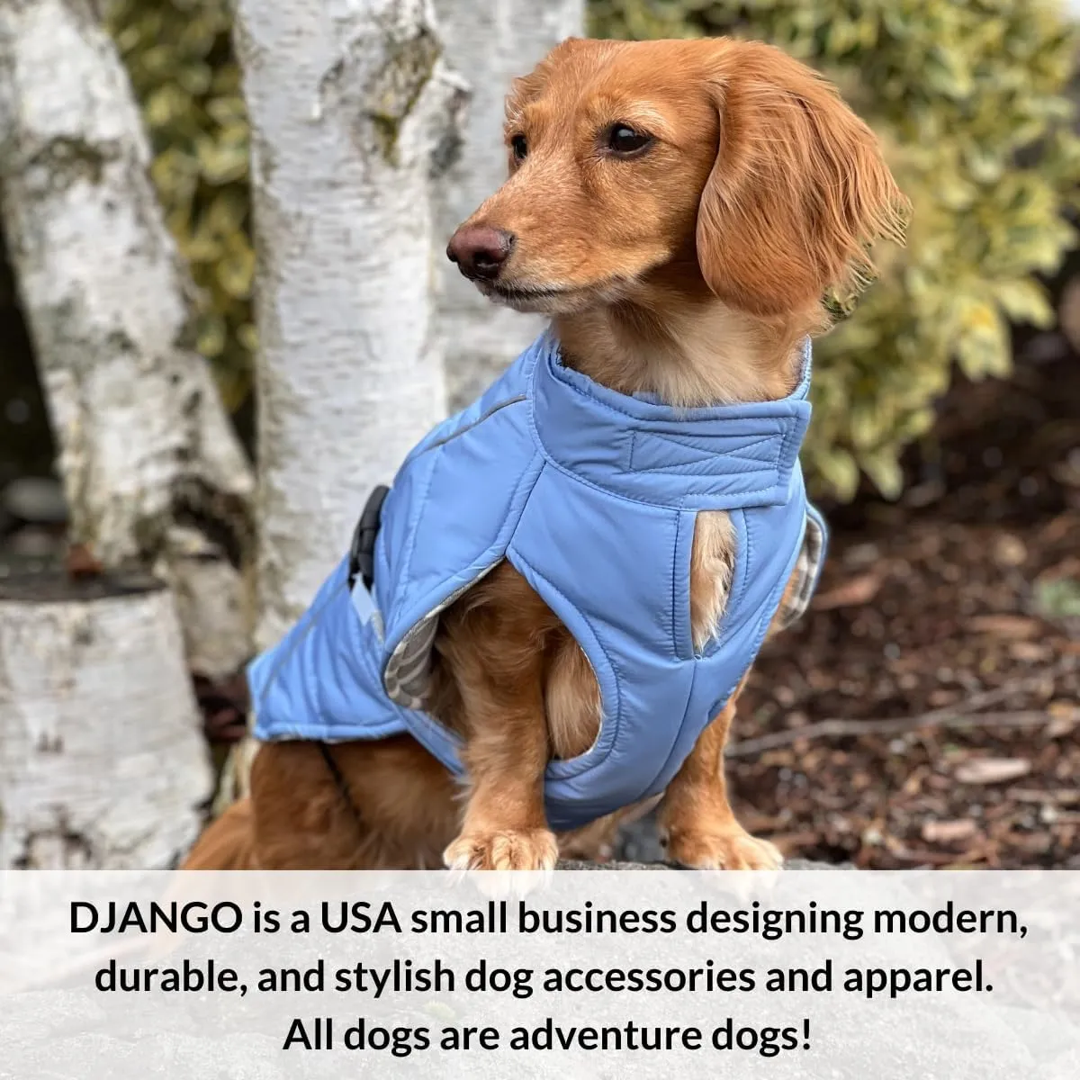 DJANGO Whistler Dusk Blue Winter Dog Coat - Premium Warm & Insulated Medium Dog Coat - Windproof & Waterproof Adjustable, Reflective Dog Winter Jacket with Easy-Access Leash Portal - Machine Washable