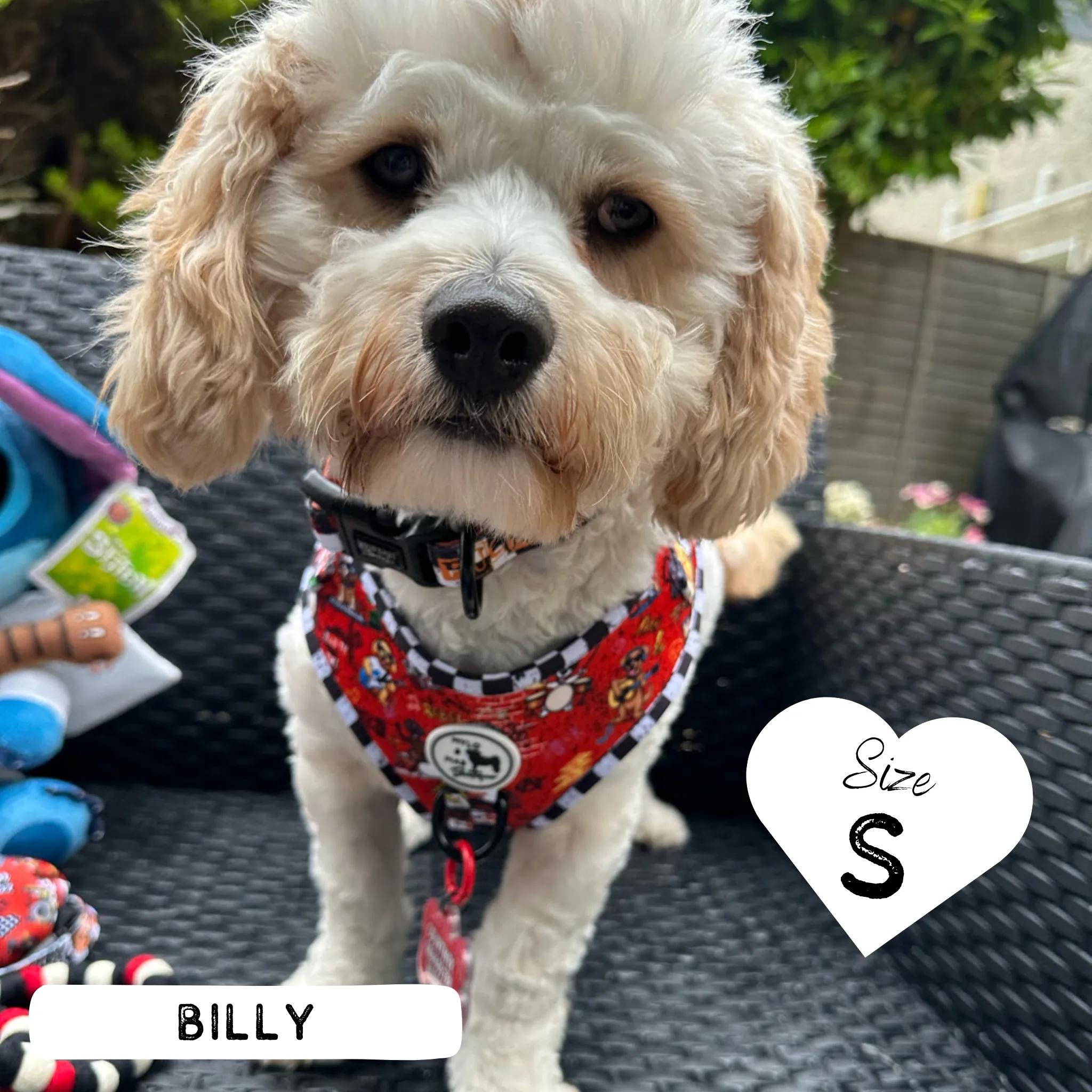 Dog Adjustable Harness - Bone Jovie
