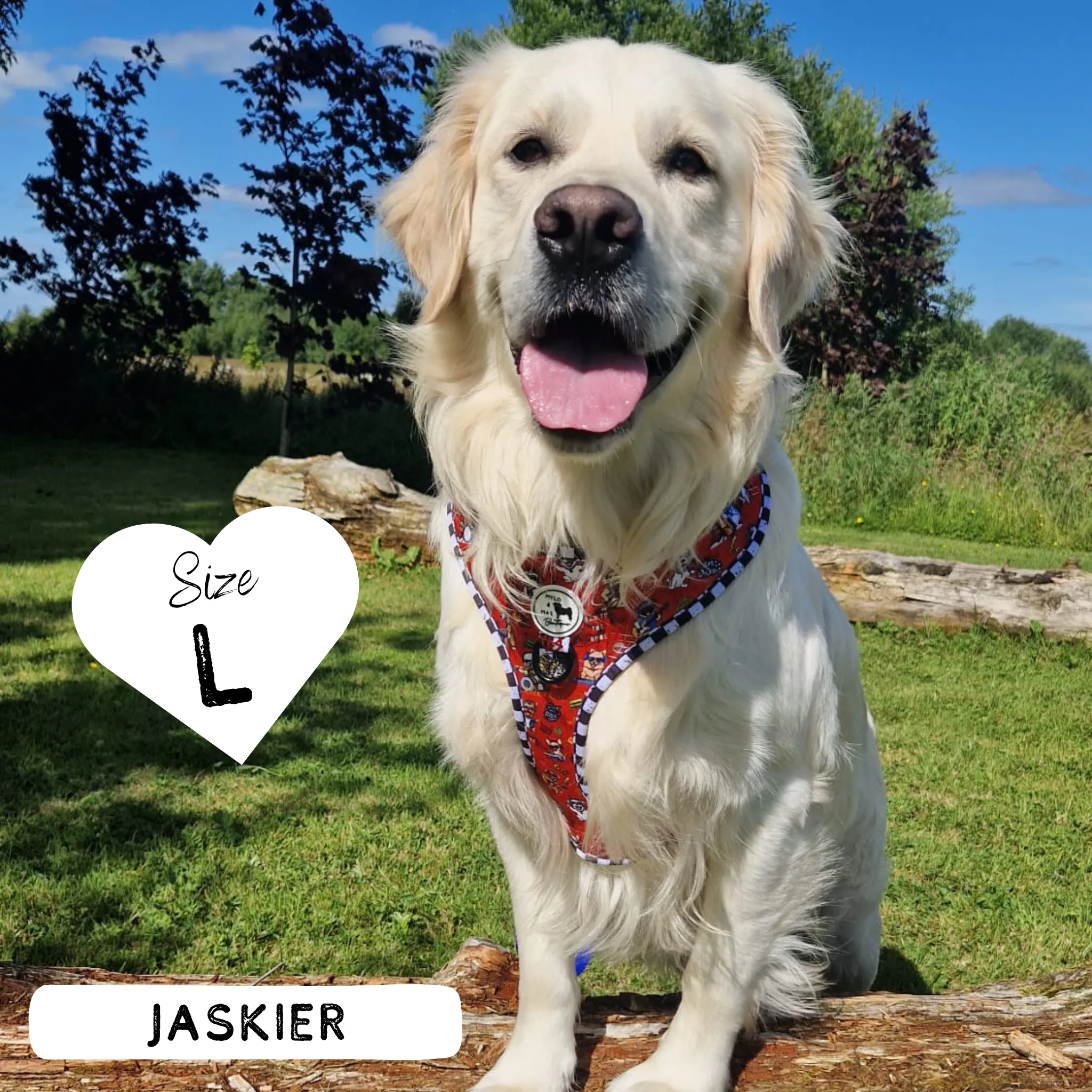 Dog Adjustable Harness - Bone Jovie
