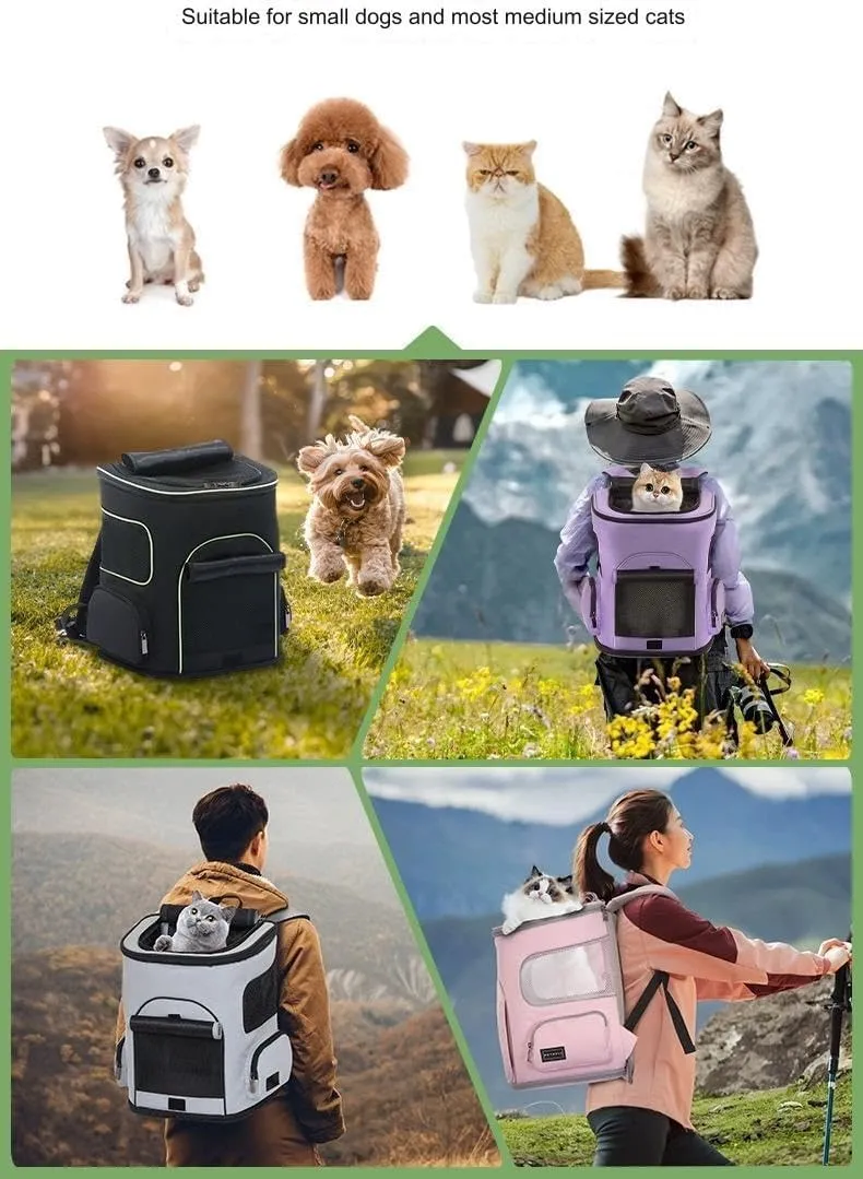 Dog Backpack Bag, Airline Approved Cat Backpack for Carrying Small Large Cats, Pet Bag Backpack, Ventilated Soft Side for Travel, Hiking, Camping, Max 18 Lbs(Black)