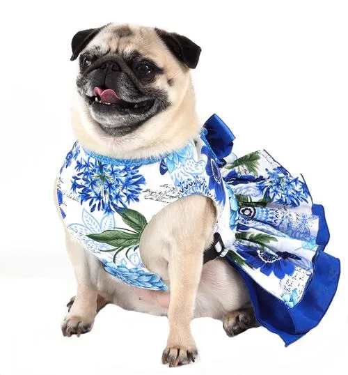 Dog Harness - Blue and White Girl Harness