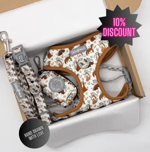 Dog harness , Dog collar and lead set | BUNDLE OF YOUR CHOICE | Enchanted fox